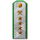 Погоны Вице-генерал-директора 2-го ранга НКПС, обр. 1943 г..